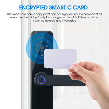 Tuya Biometric Smart Door Lock – WiFi & Multi-Access